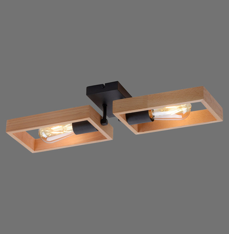 Plafoniera Paul Neuhaus FRANKY 2xE27 Negru