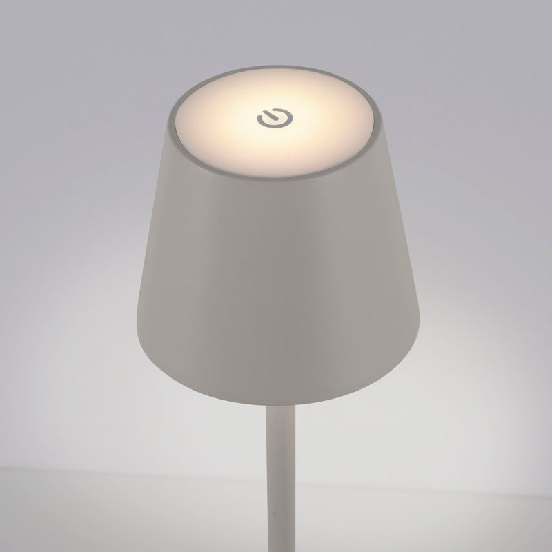 Lampa Exterior Paul Neuhaus EURIA LED Gri