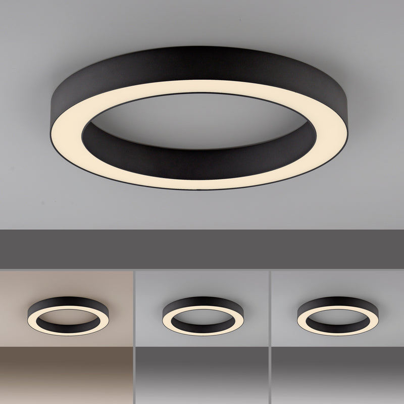 Plafoniera Paul Neuhaus PURE LINES ROUND LED Grafit