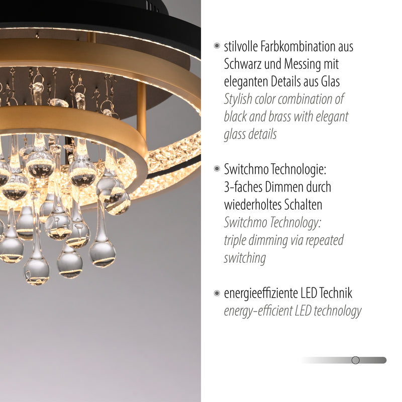 Plafoniera Paul Neuhaus ROTAZO LED Negru