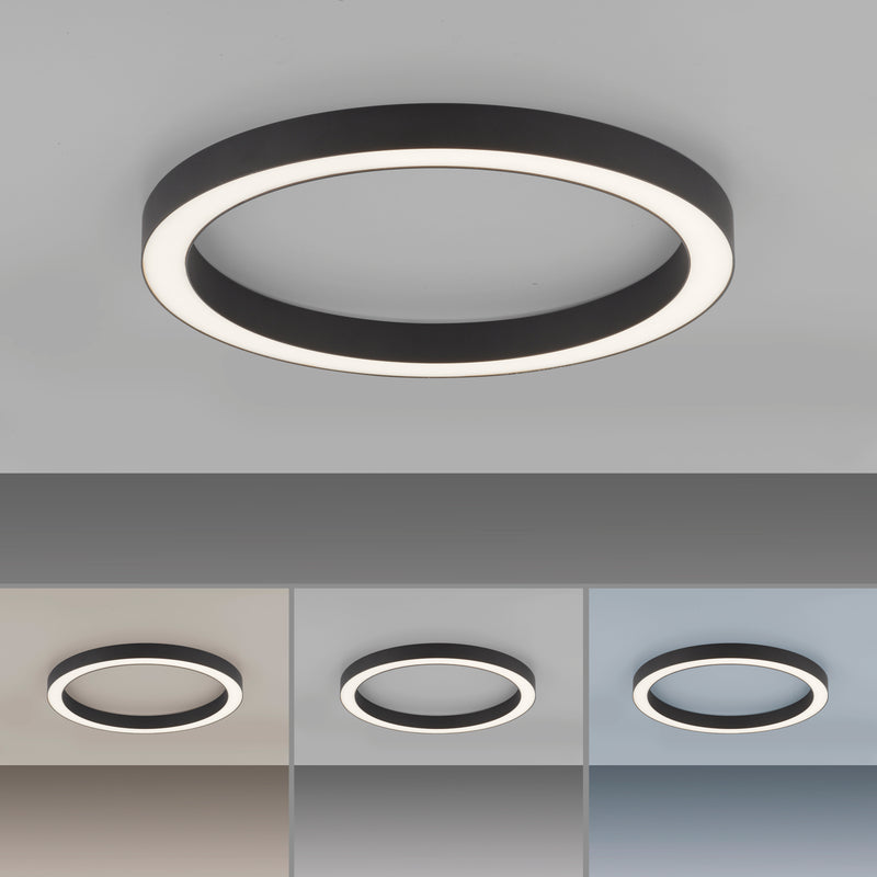 Plafoniera Paul Neuhaus PURE-LINES LED Antracit