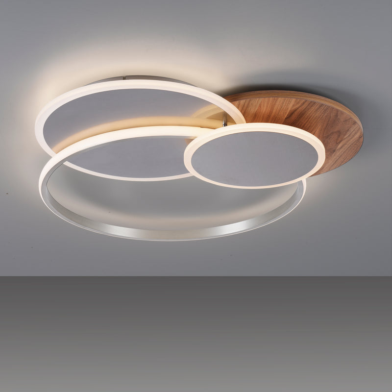 Plafoniera Paul Neuhaus PALMA LED Lemn