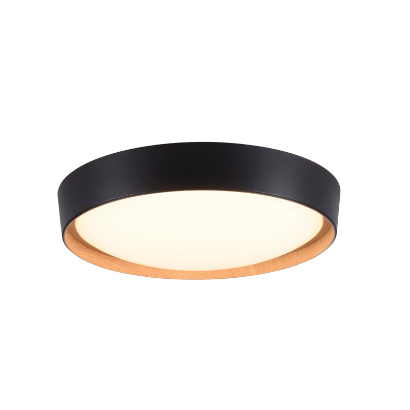 Plafoniera Paul Neuhaus EMILIA LED Negru
