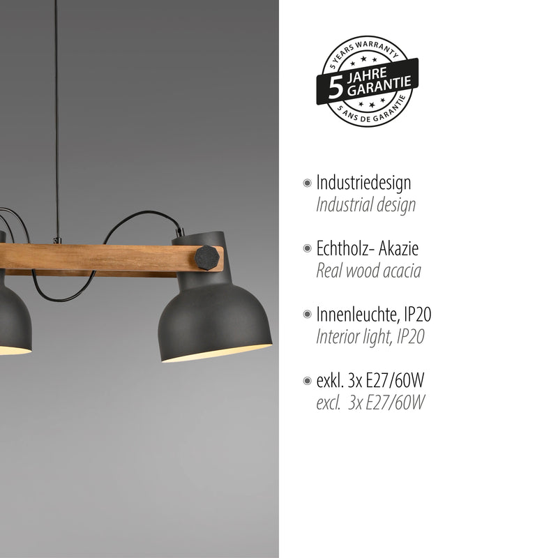 Lustra Paul Neuhaus CUP 2.0 3xE27 Negru