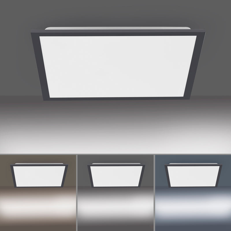 Plafoniera Paul Neuhaus FLAT LED