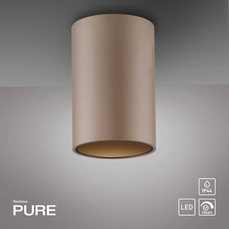 Plafoniera Paul Neuhaus PURE POINT LED Maro