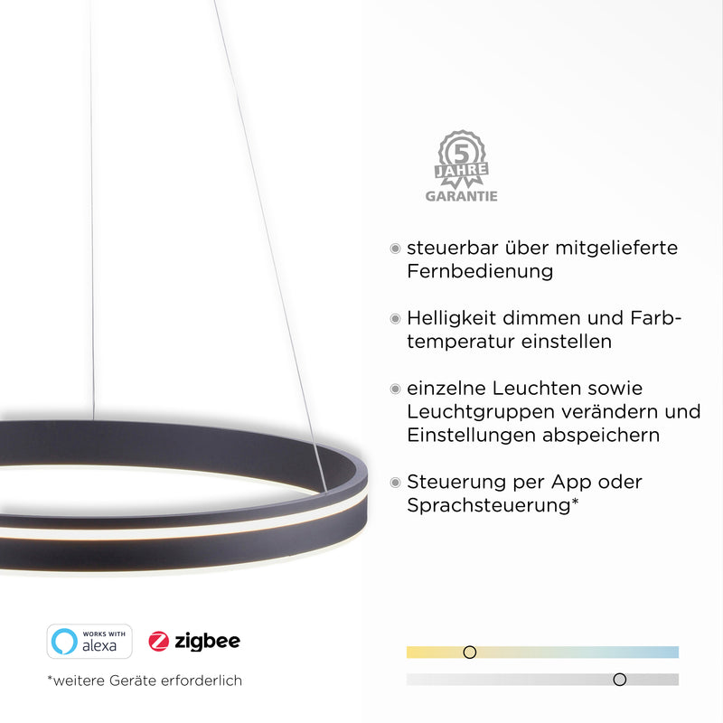 Lustra Paul Neuhaus Q-VITO LED Antracit