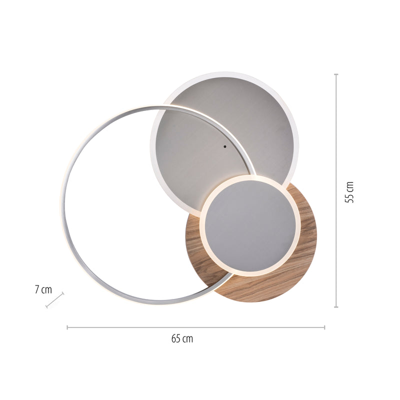 Plafoniera Paul Neuhaus PALMA LED Lemn