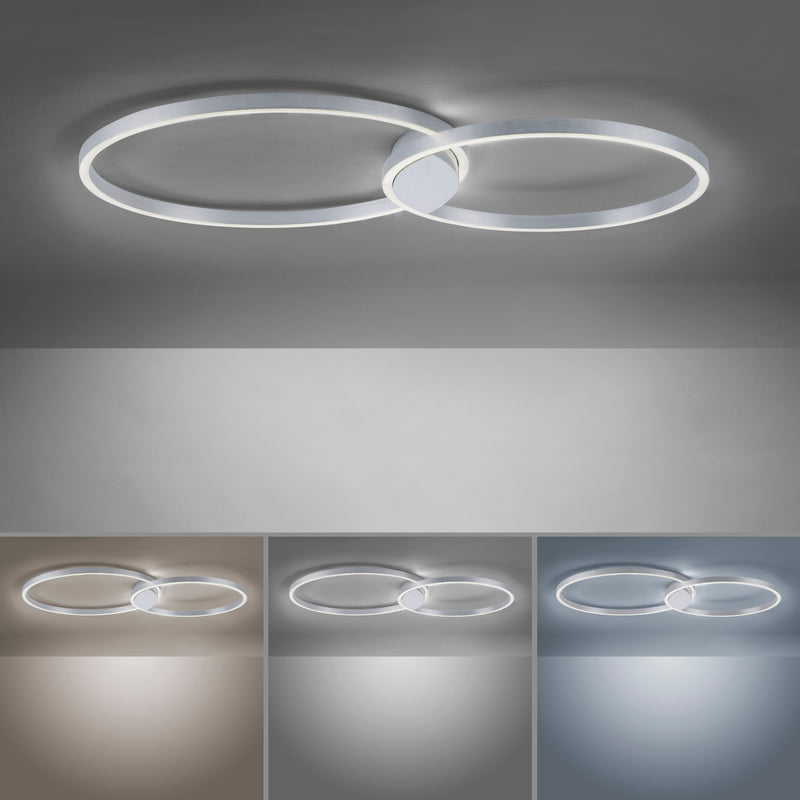 Plafoniera Paul Neuhaus Q-KATE 2xLED Otel