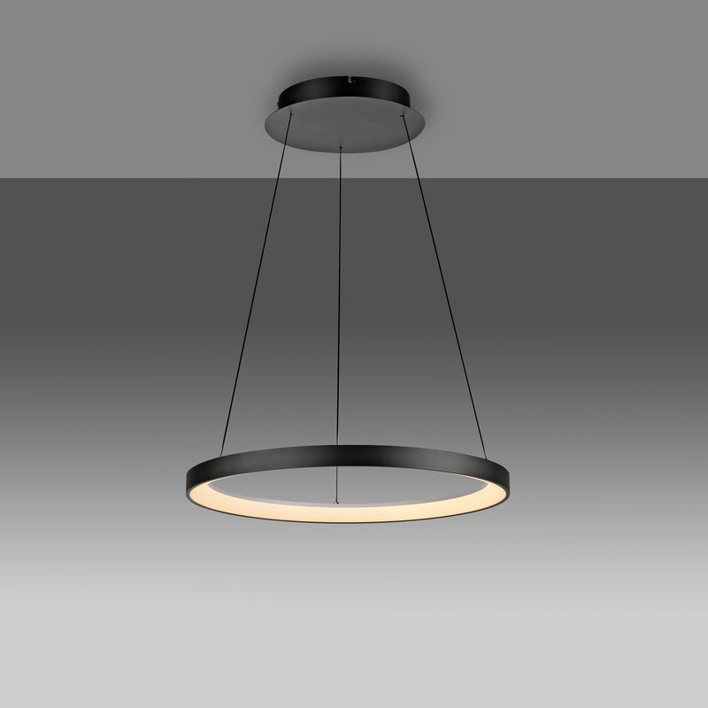 Lustra Paul Neuhaus HOOP LED Negru