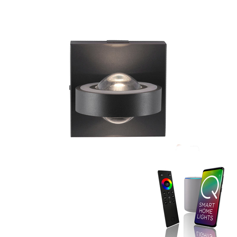 Aplica Paul Neuhaus Q-MIA 4xLED Antracit
