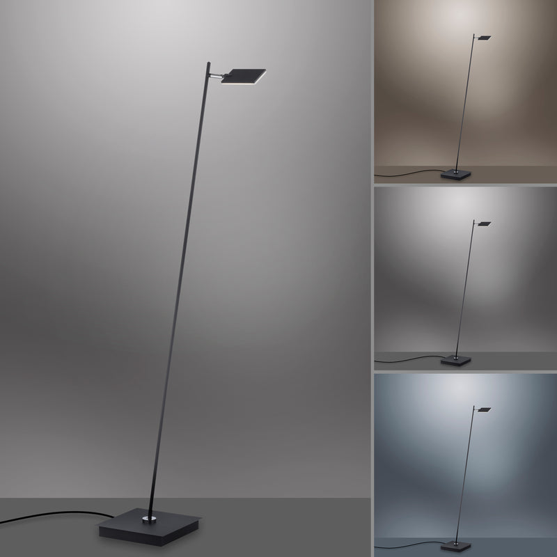 Lampadar Paul Neuhaus PURE-MIRA LED Antracit