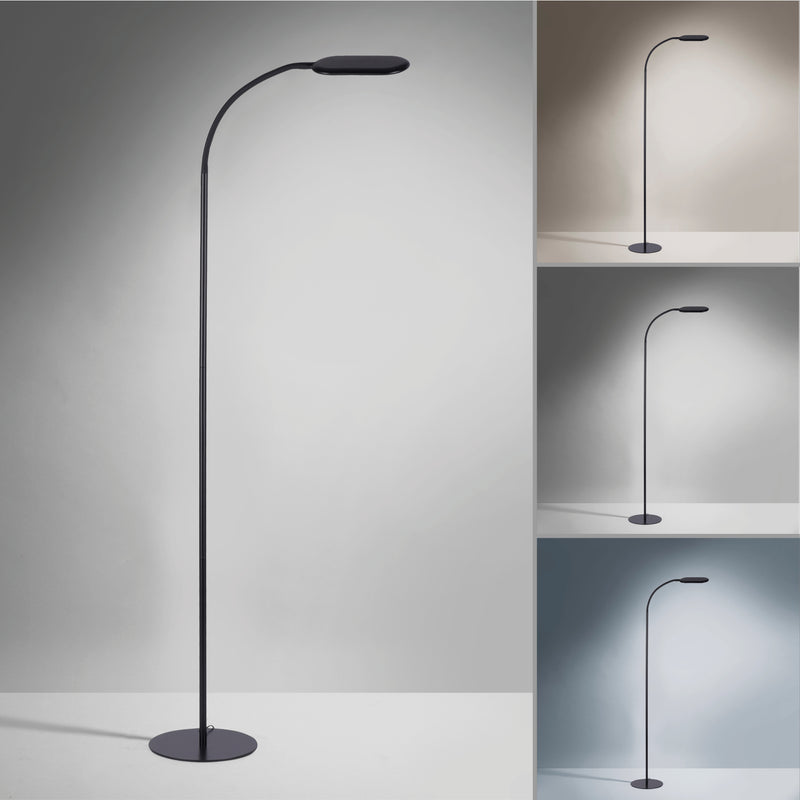 Lampadar Paul Neuhaus KELLY LED Negru