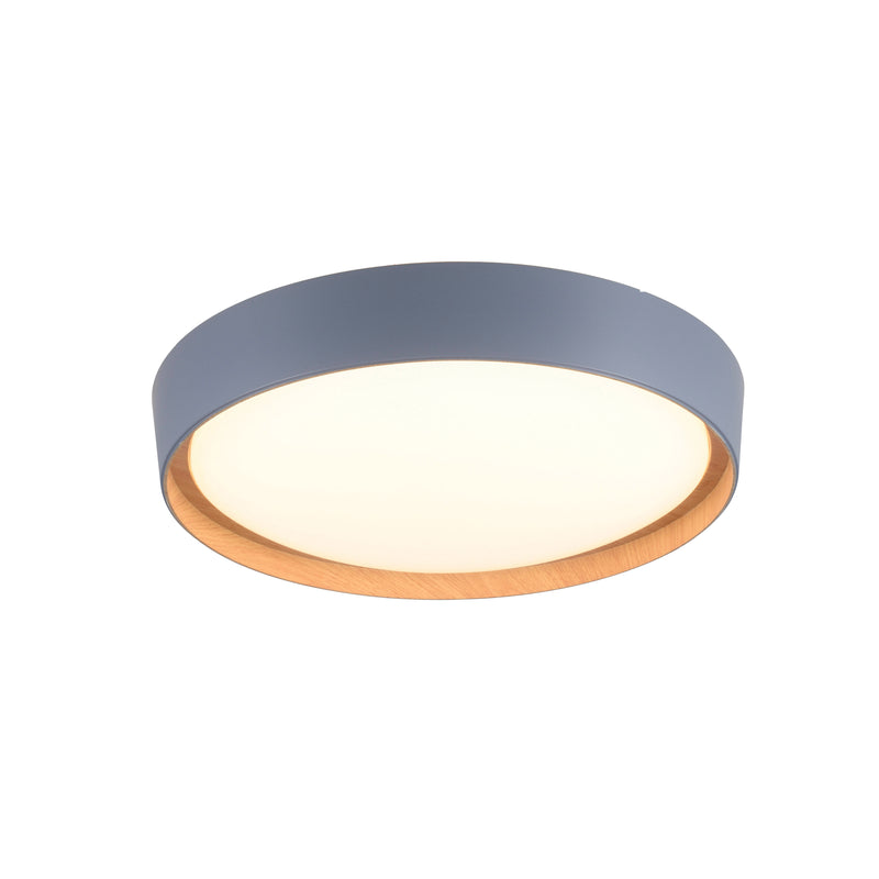 Plafoniera Paul Neuhaus EMILIA LED Gri