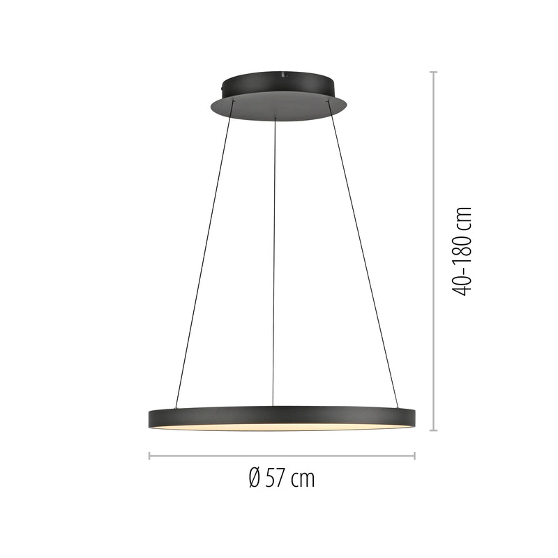 Lustra Paul Neuhaus HOOP LED Negru