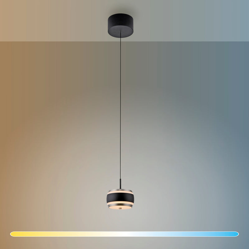 Lustra Paul Neuhaus PURE FALLING RINGS LED Negru
