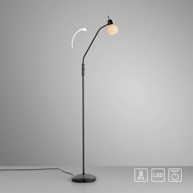 Lampadar Paul Neuhaus LOKI 1xE14 Negru