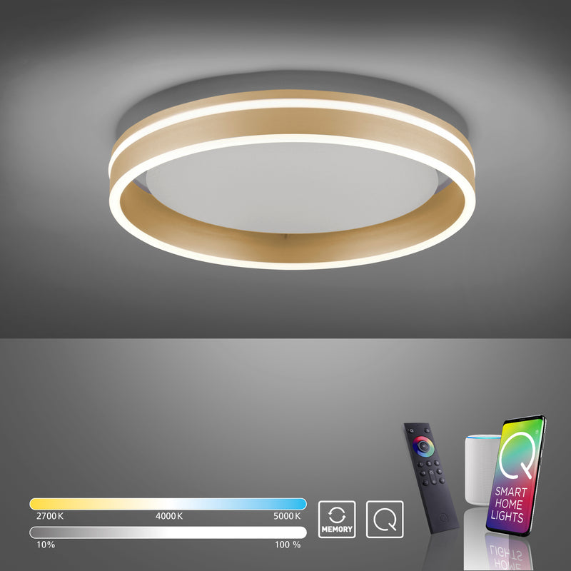 Plafoniera Paul Neuhaus Q-VITO LED Alama Mat