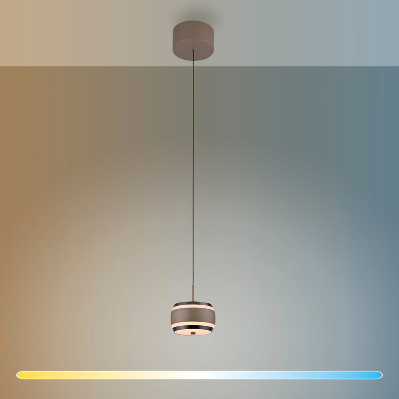 Lustra Paul Neuhaus PURE FALLING RINGS LED Maro