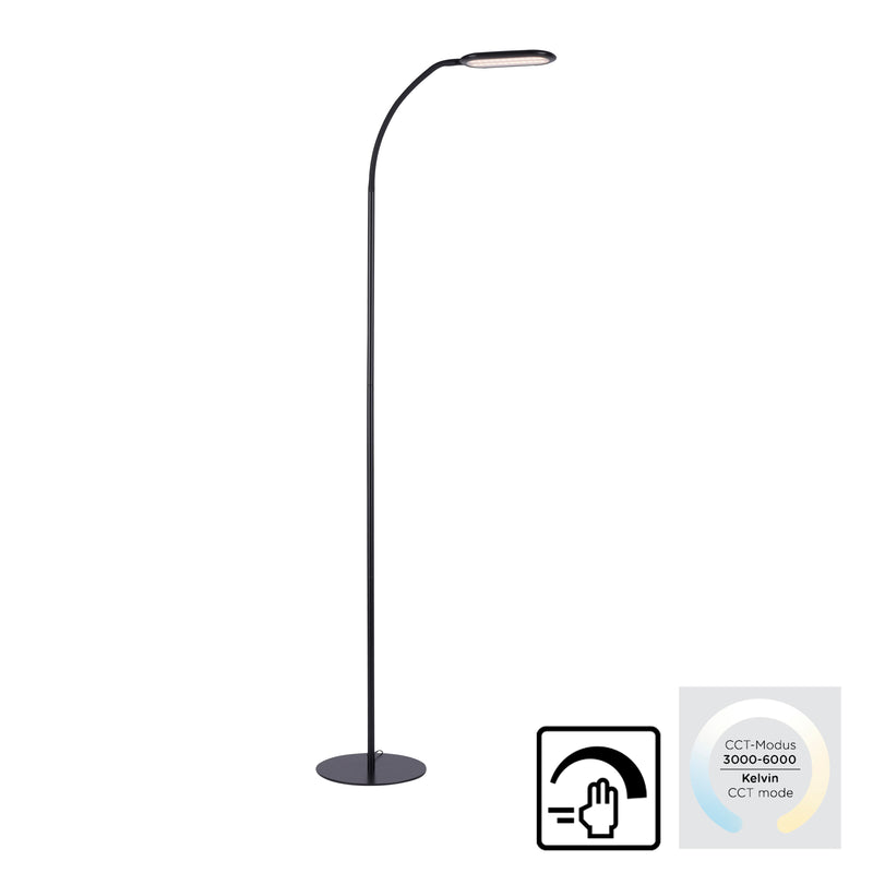 Lampadar Paul Neuhaus KELLY LED Negru