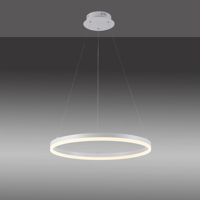 Lustra Paul Neuhaus TITUS LED Alb