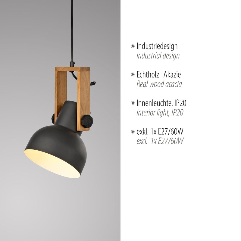 Lustra Paul Neuhaus CUP 2.0 1xE27 Negru