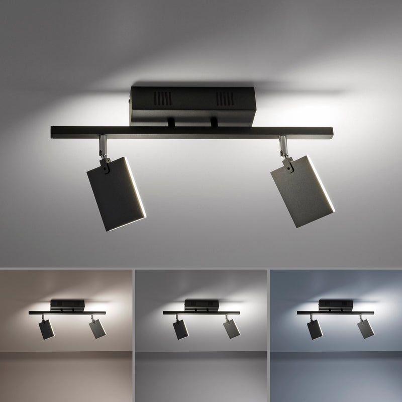 Plafoniera Paul Neuhaus PURE-MIRA 2xLED Negru