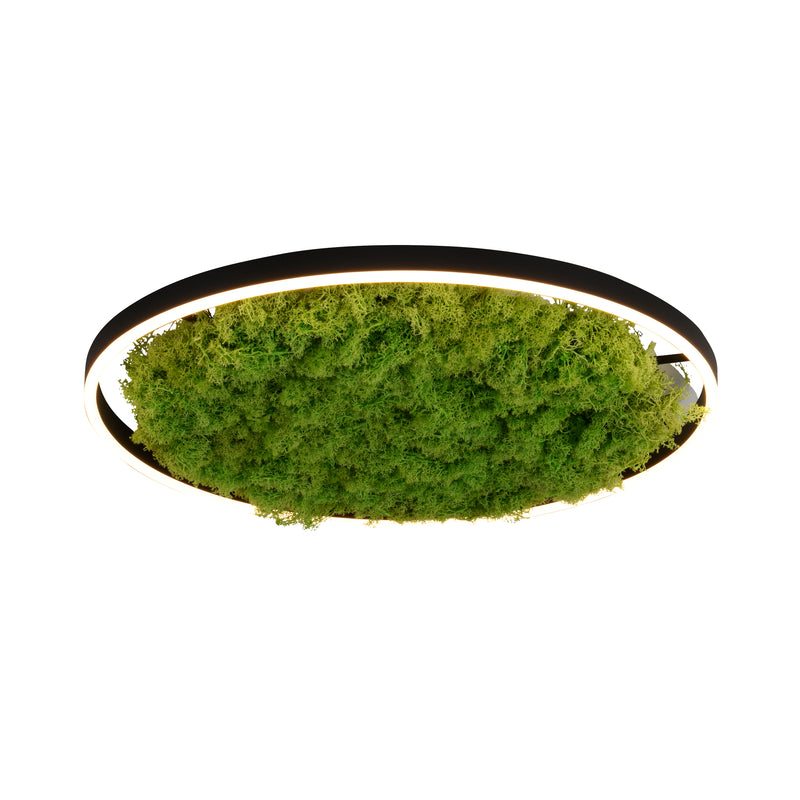 Plafoniera Zuma Line GREEN RITUS LED Muschi Natural
