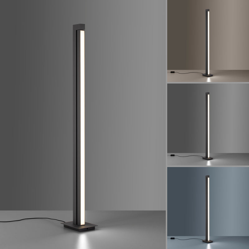 Lampadar Paul Neuhaus PURE-LINES LED Antracit