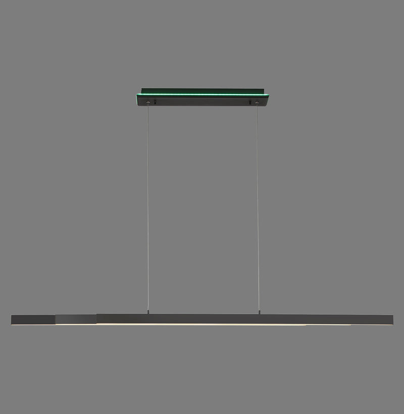 Lustra Paul Neuhaus Q-ARIAN 4xLED Antracit