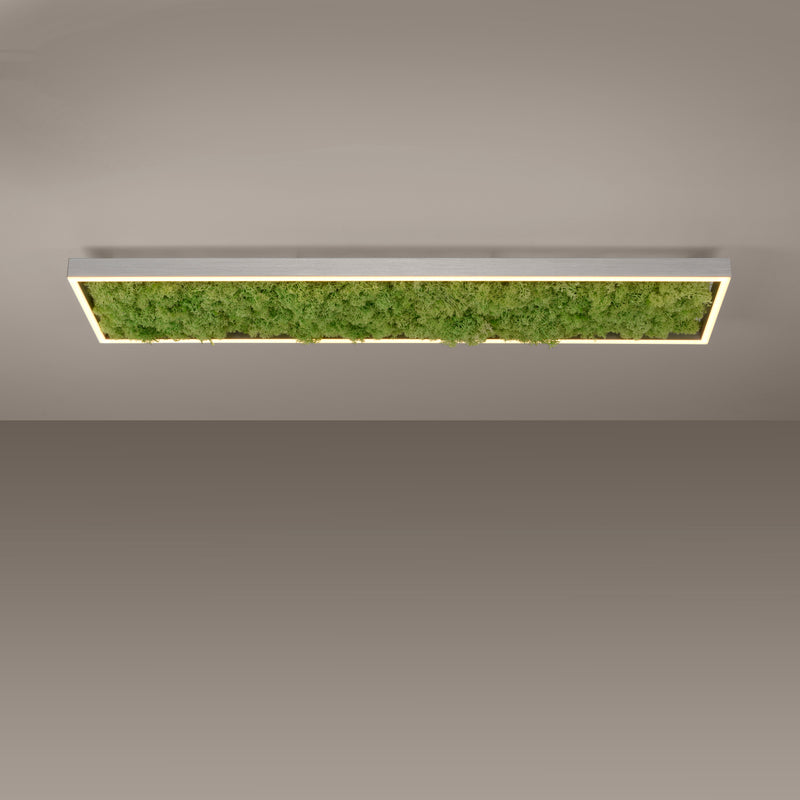 Plafoniera Zuma Line GREEN KNUT LED Muschi Natural