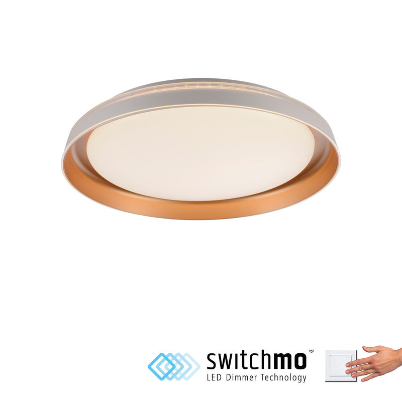 Plafoniera Paul Neuhaus SATI LED Alama Mat