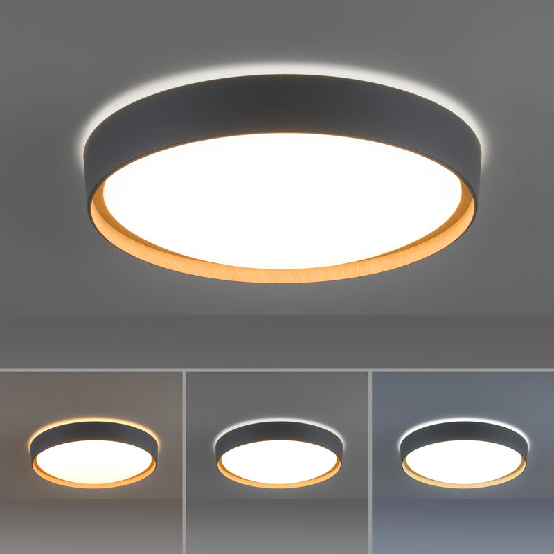 Plafoniera Paul Neuhaus Q-EMILIA LED Gri