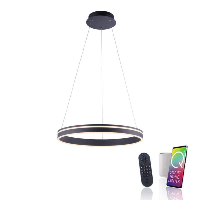Lustra Paul Neuhaus Q-VITO LED Antracit
