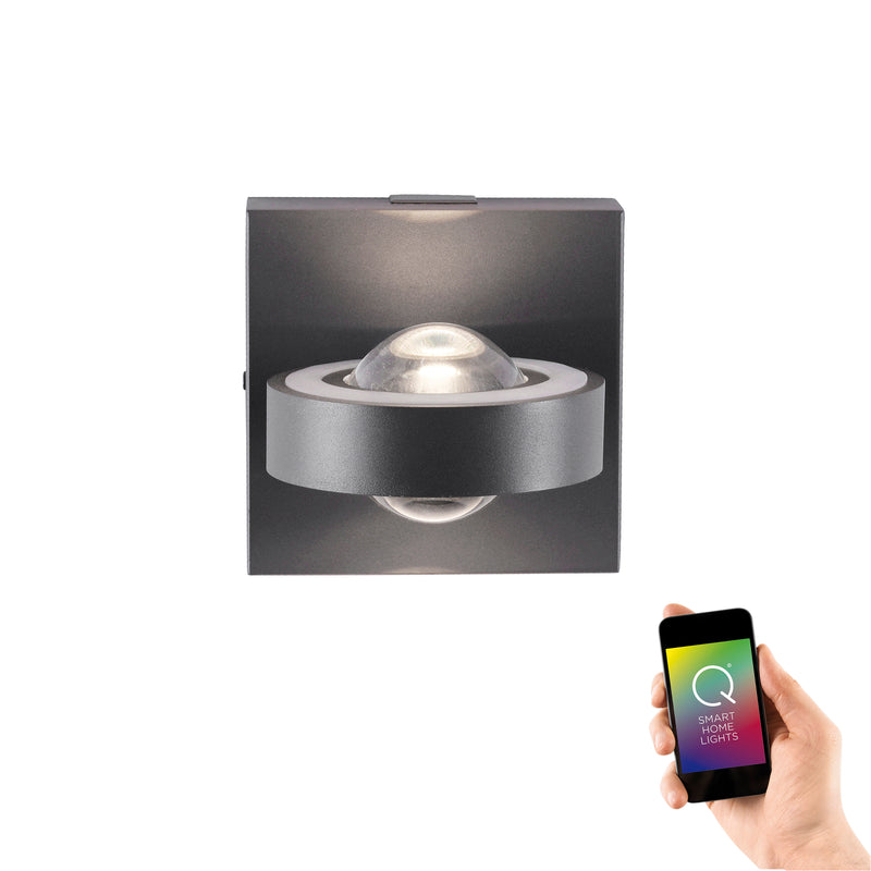 Aplica Paul Neuhaus Q-MIA 4xLED Antracit