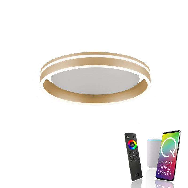 Plafoniera Paul Neuhaus Q-VITO LED Alama Mat