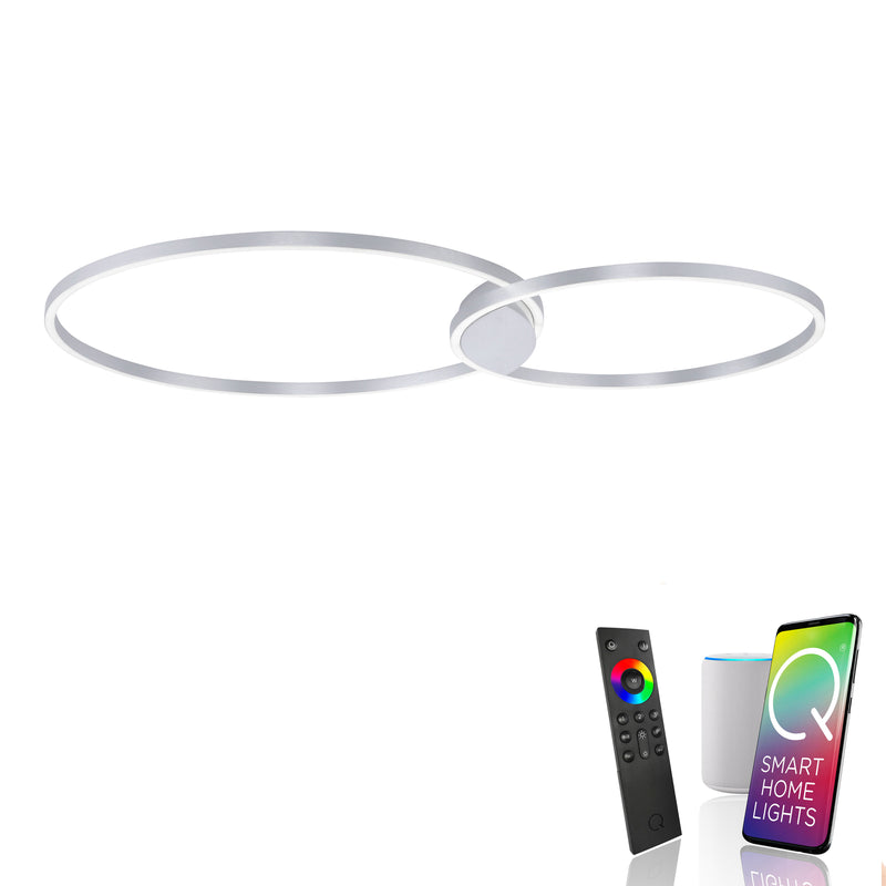 Plafoniera Paul Neuhaus Q-KATE 2xLED Otel