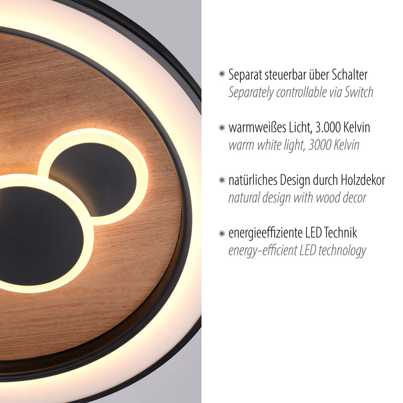 Plafoniera Paul Neuhaus ELIZA LED Negru