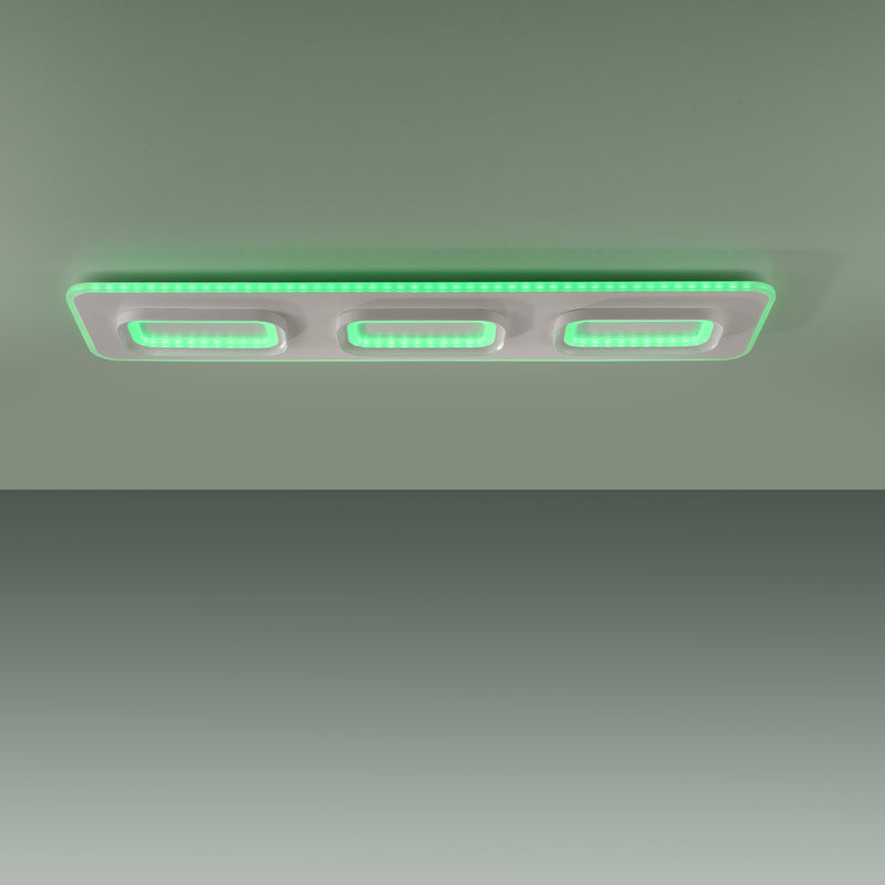 Plafoniera Paul Neuhaus Q-KALINA LED Alb