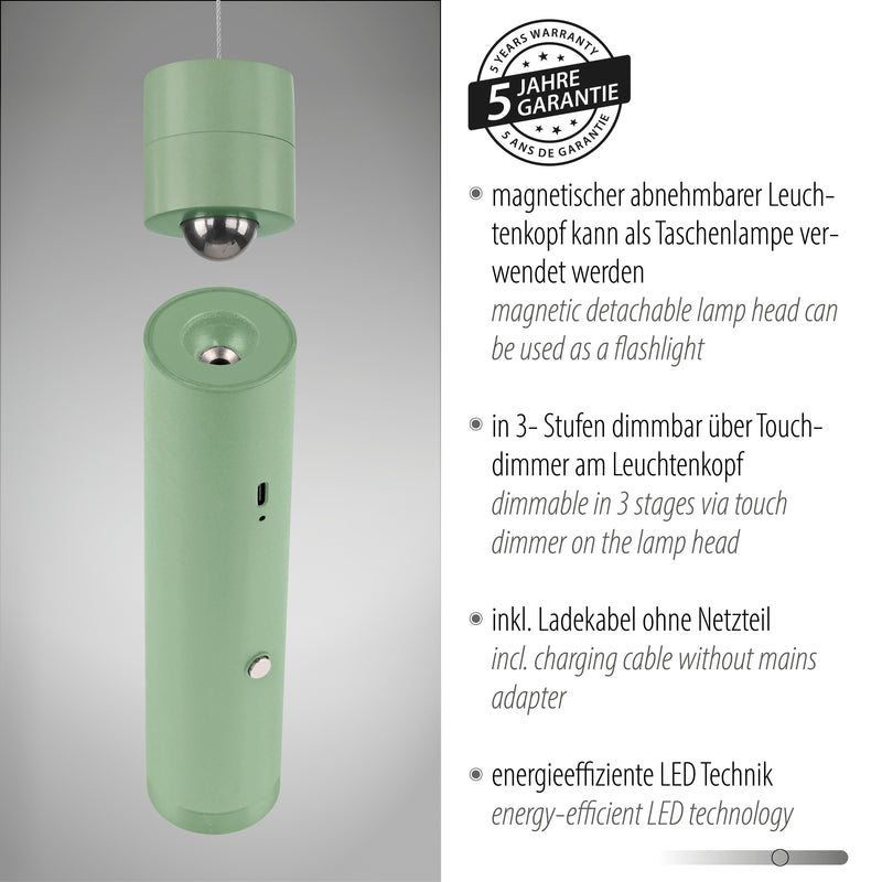 Lustra Paul Neuhaus ATTACH LED Verde Deschis