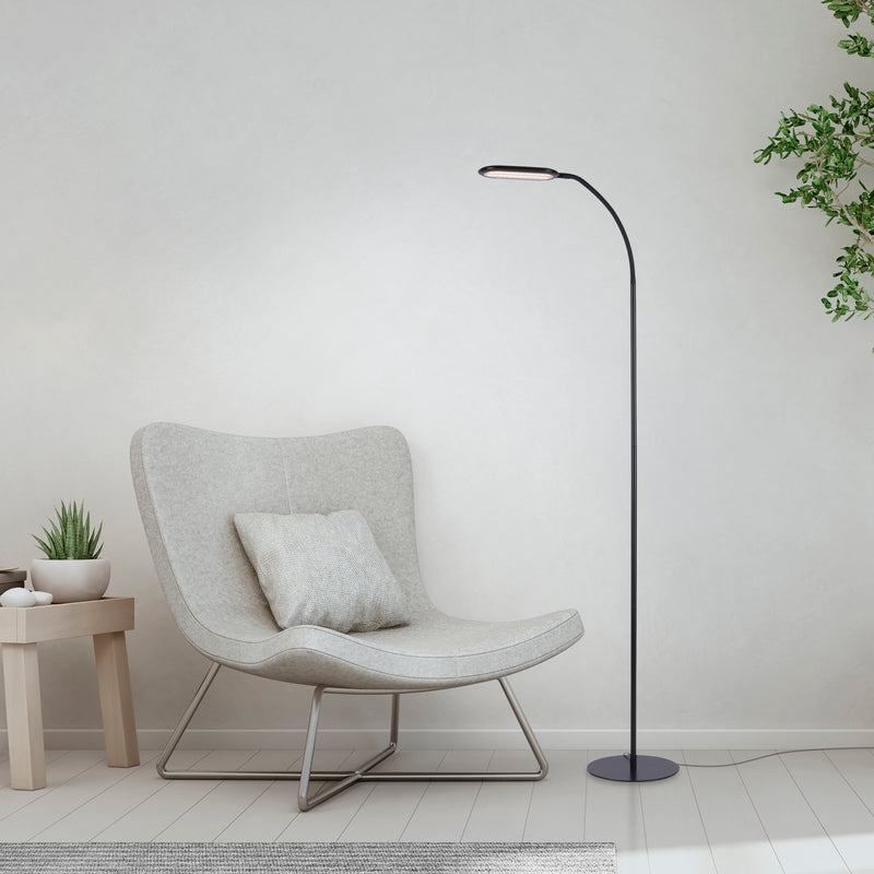 Lampadar Paul Neuhaus KELLY LED Negru