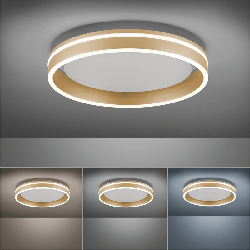 Plafoniera Paul Neuhaus Q-VITO LED Alama Mat