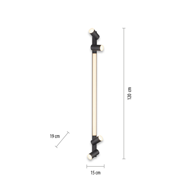 Plafoniera Paul Neuhaus PURE-LINES 5xLED Antracit