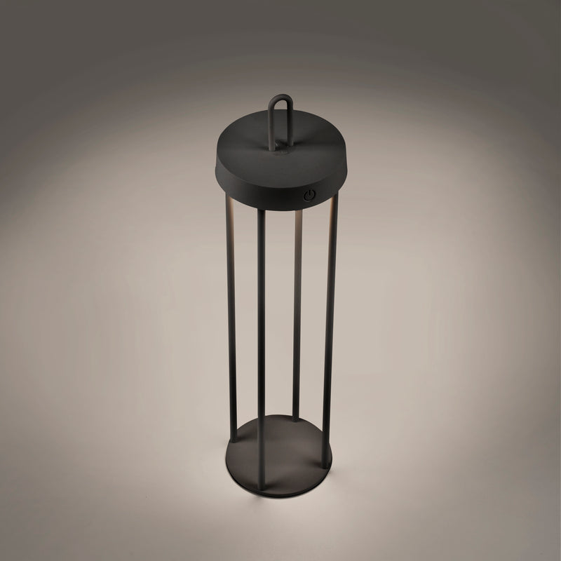 Veioza Paul Neuhaus ANSELM LED Negru