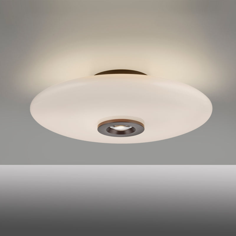 Plafoniera Paul Neuhaus PURE VITRUM 2xLED Maro Metalic