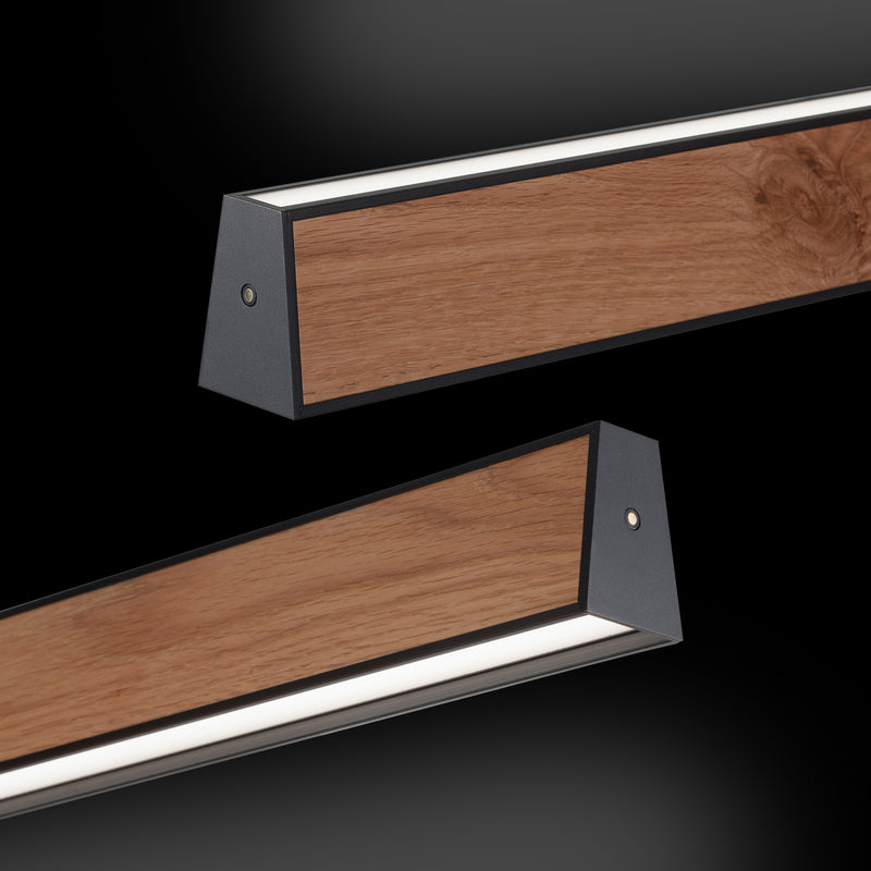Lustra Paul Neuhaus PURE E-MOTION 2xLED Negru