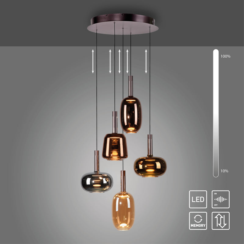 Lustra Paul Neuhaus IRIDES 5xLED Multicolor