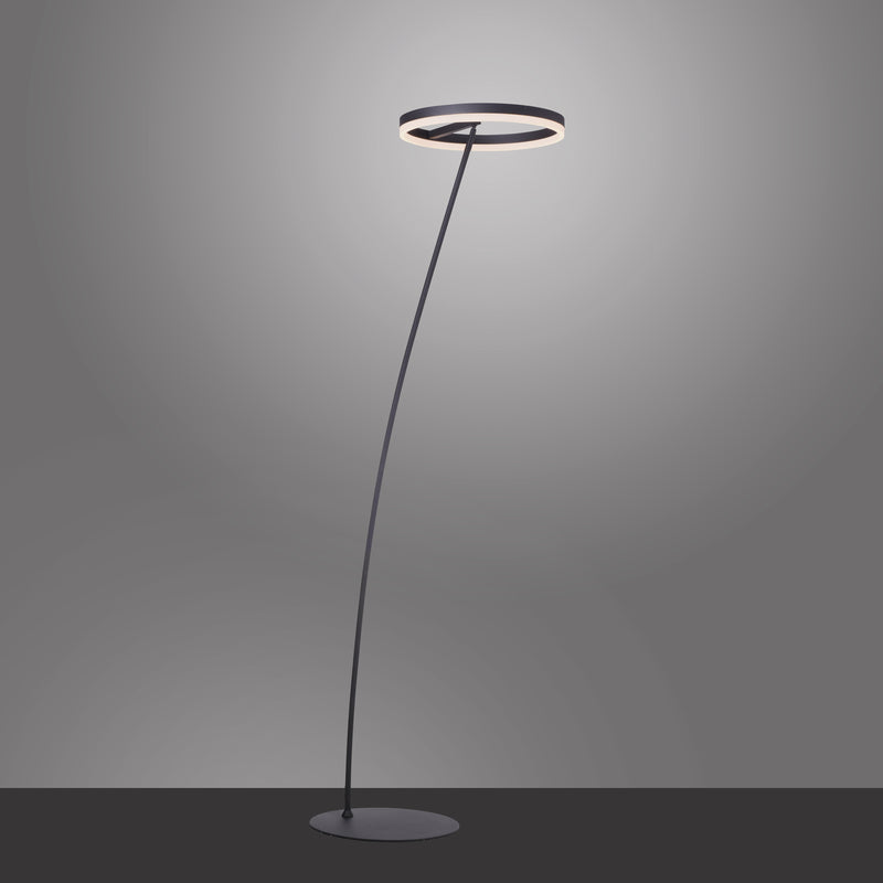 Lampadar Paul Neuhaus TITUS LED Antracit