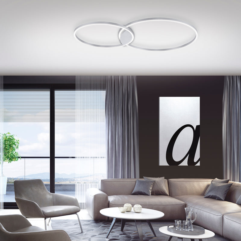 Plafoniera Paul Neuhaus Q-KATE 2xLED Otel