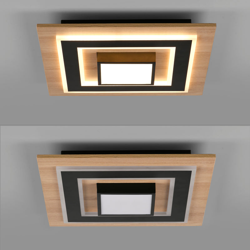 Plafoniera Paul Neuhaus TOLA LED Negru